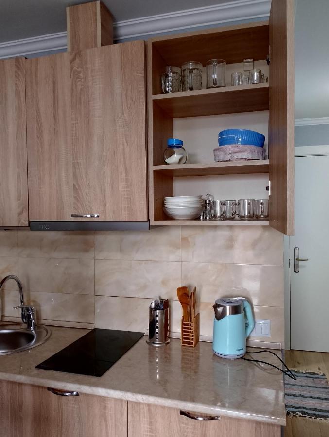 New Gudauri Loft #1,Room 411, 412 Luaran gambar